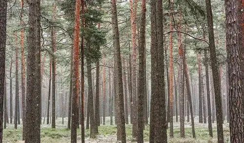 Бог Оставляет Упорных