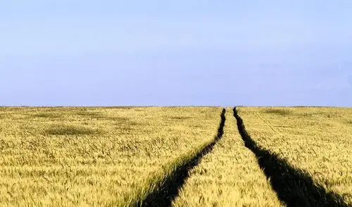 Не Тот Ответ