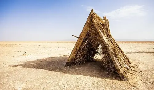 В кущах живите