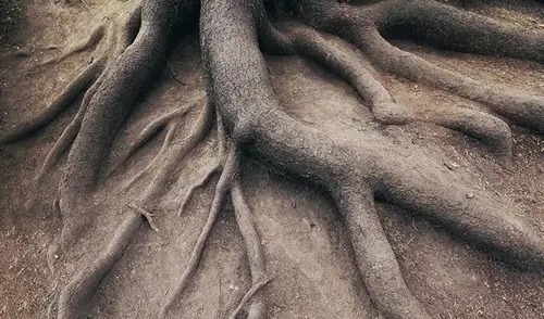 Корень страха – маловерие