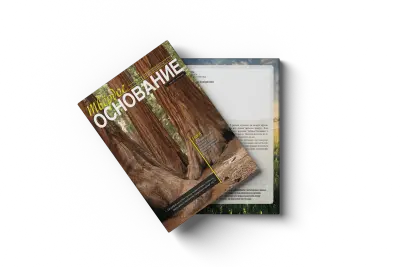 Твёрдое Основание №7