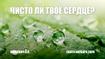 Чисто ли Твоё сердце