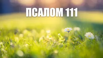 Псалом 111